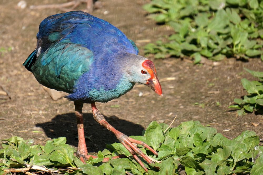 Photograph by Блюмина Елена