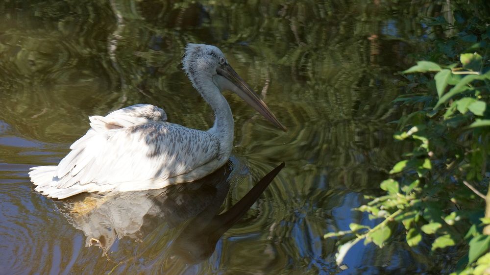 Photograph by Блюмина Елена