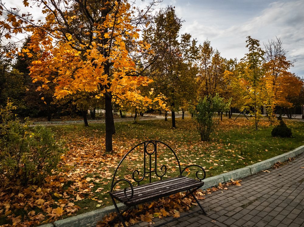 Photo #11103273
