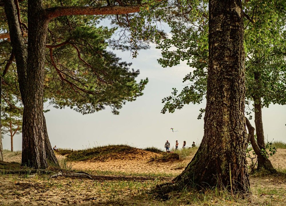 Фотография автора Selemir Grig