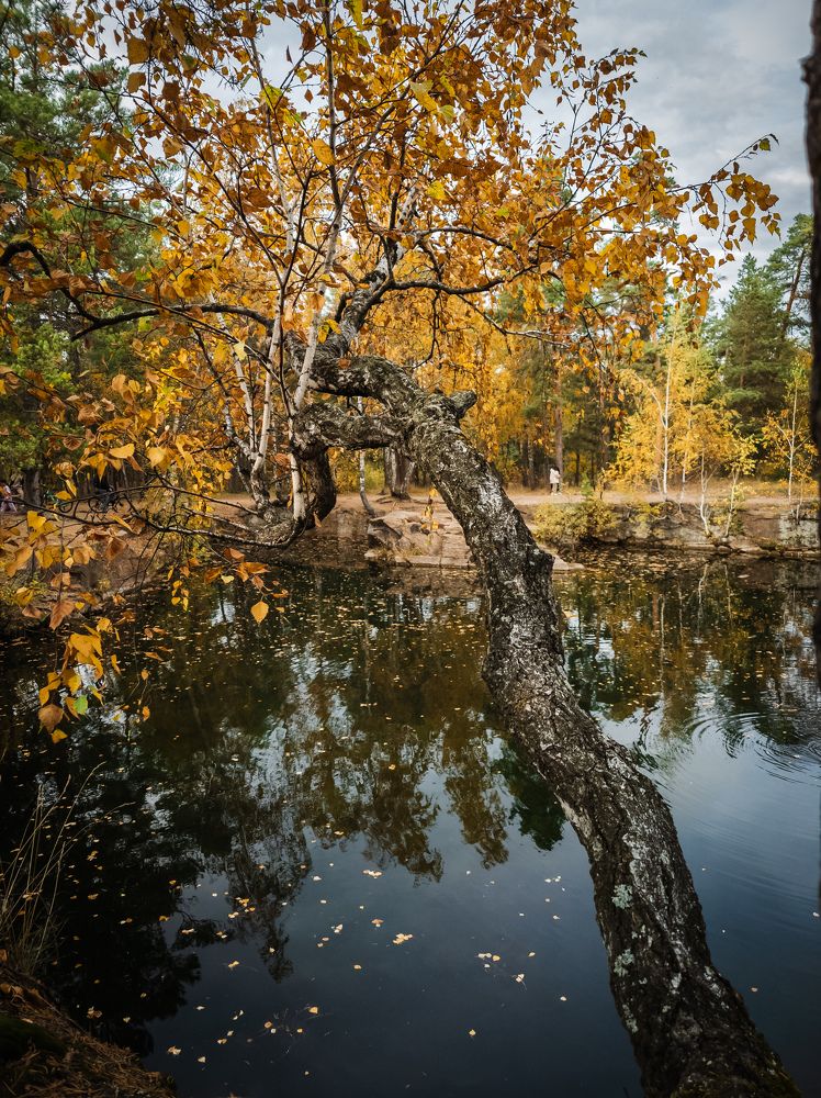 Photo #11103282