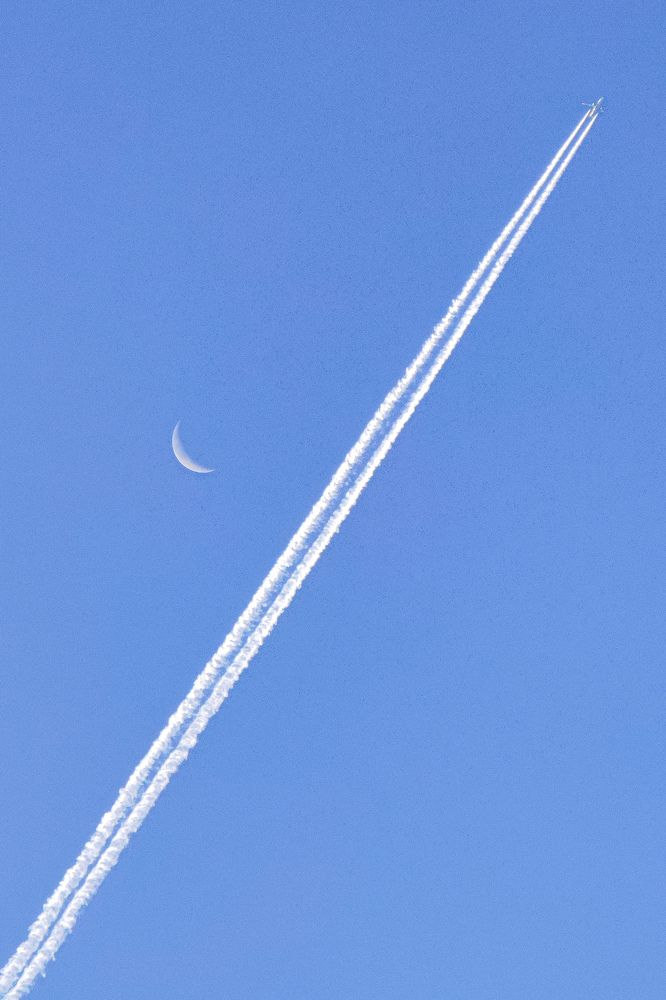 Photograph by Alexander Lonsdale