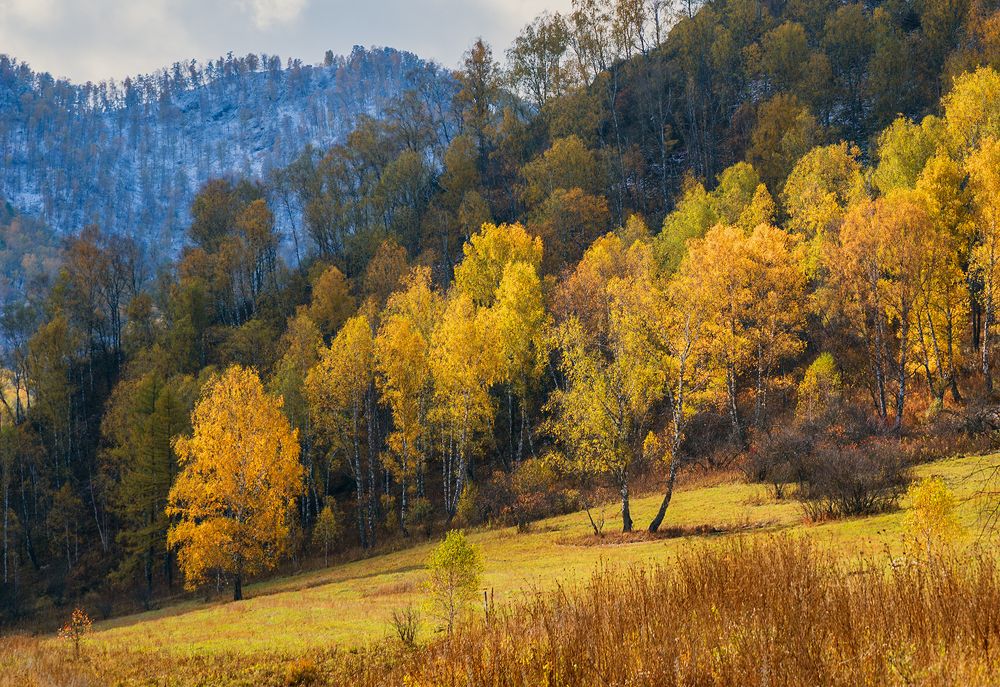Photograph by Вадим Качанов