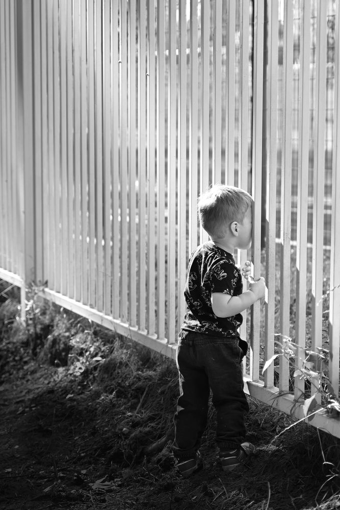 Freedom inside the cage