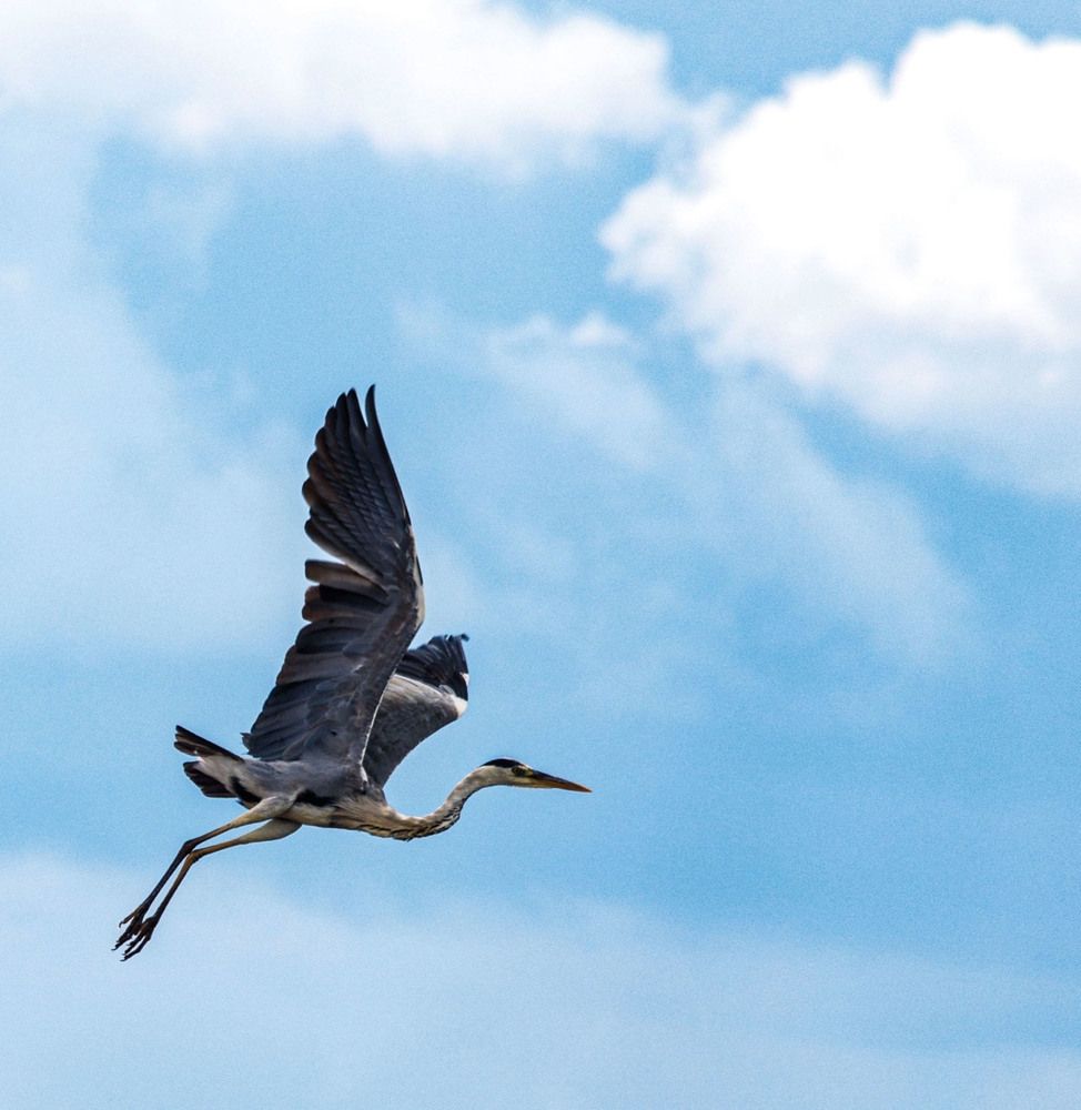 Photograph by Ольга Чибисова