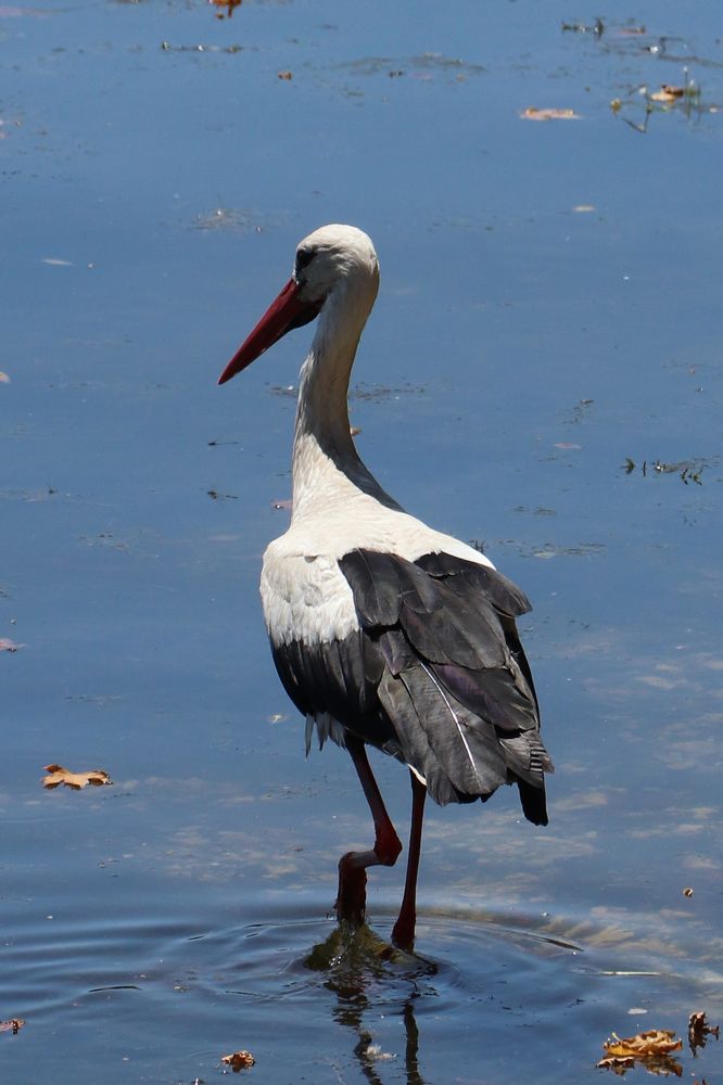 Photograph by Buket Demirel