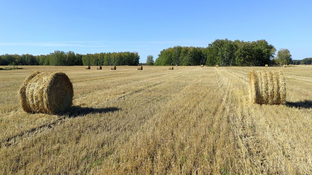 Фотография автора Зыбин Владимир