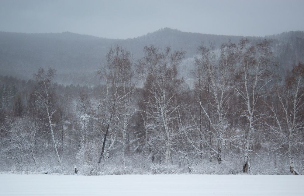 Photograph by Светлана Максимова