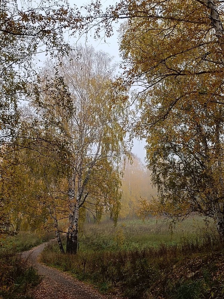 Photograph by Татьяна Cамсонова