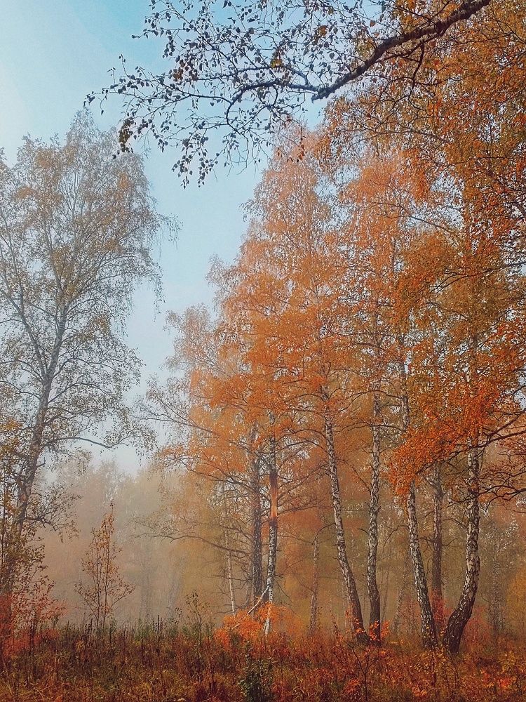 Photograph by Татьяна Cамсонова