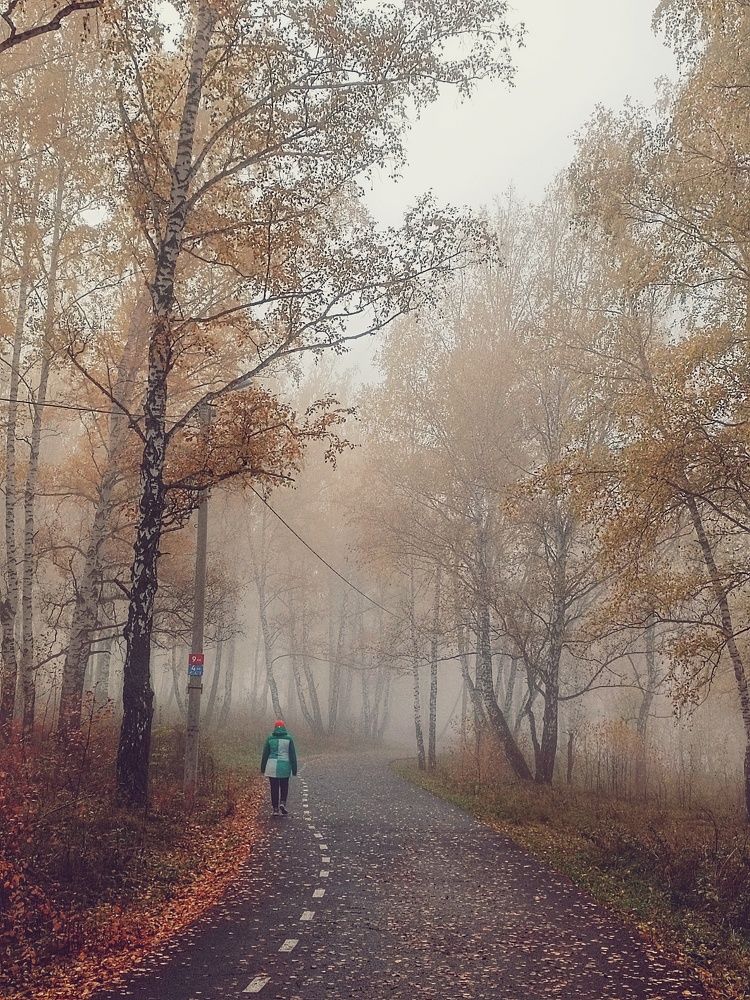 Photograph by Татьяна Cамсонова