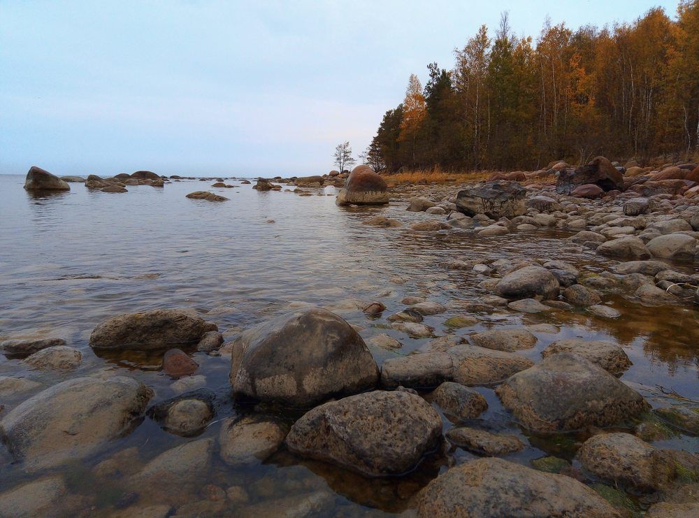 Photograph by Svetlana Gubanova