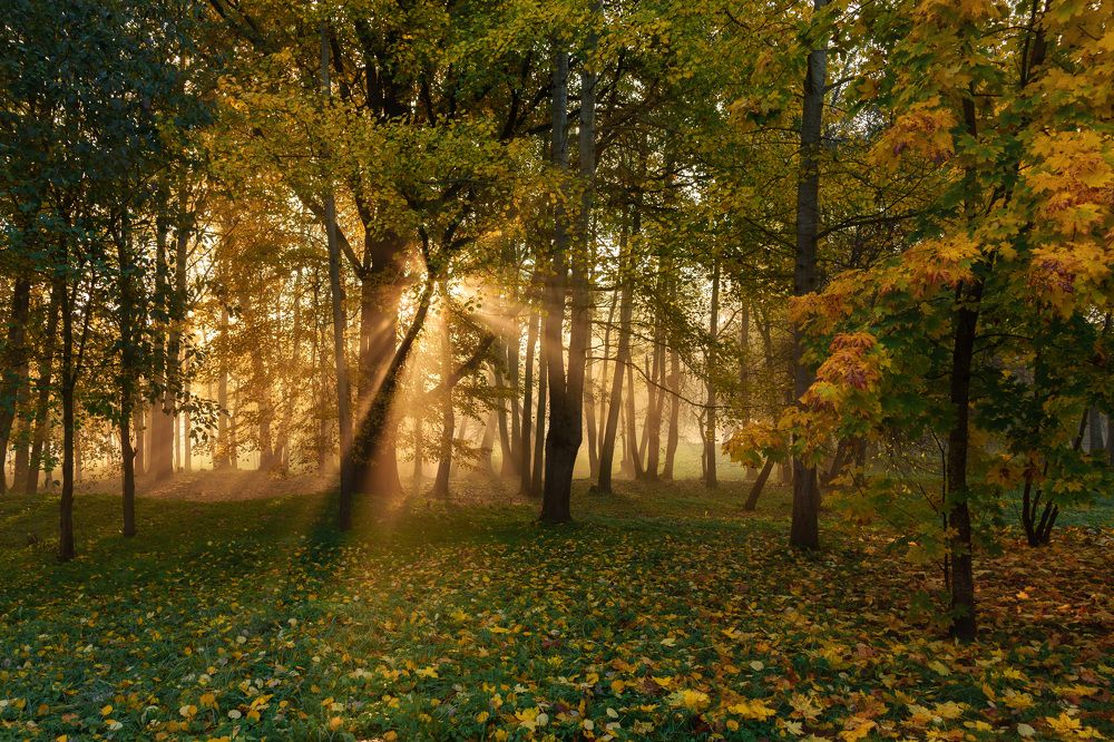 Photograph by Валерия Трейтяк