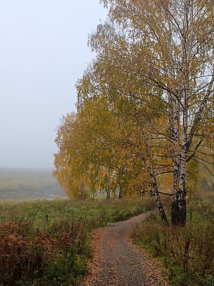 Photograph by Татьяна Cамсонова