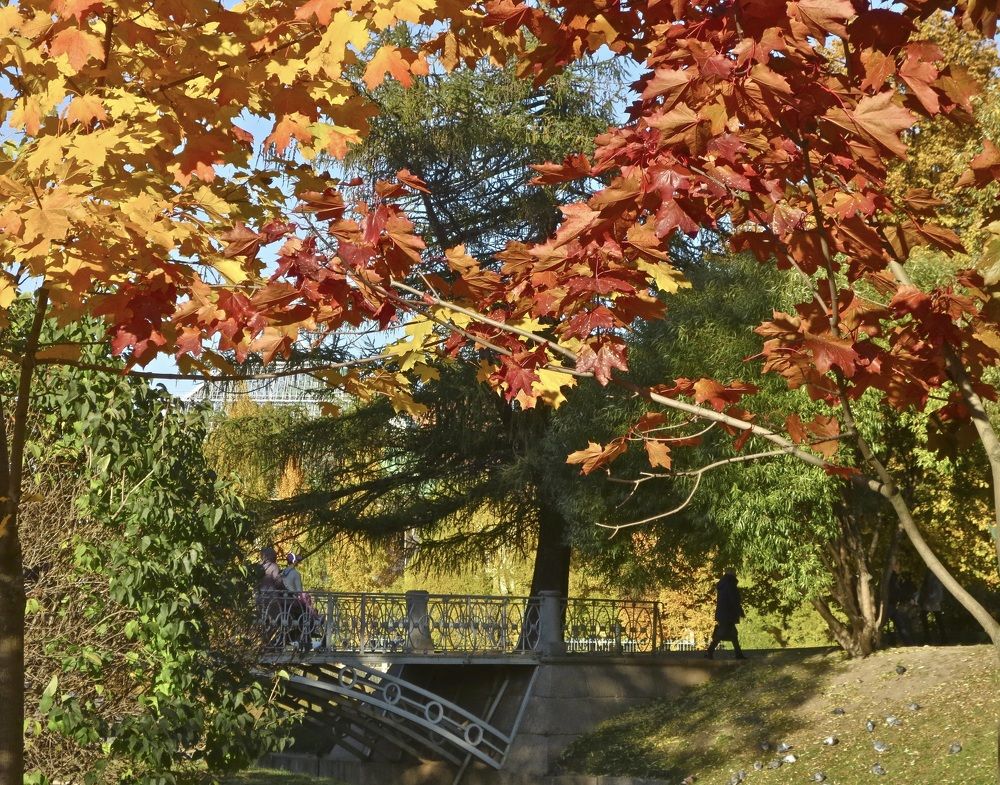 Photograph by Елена Жукова