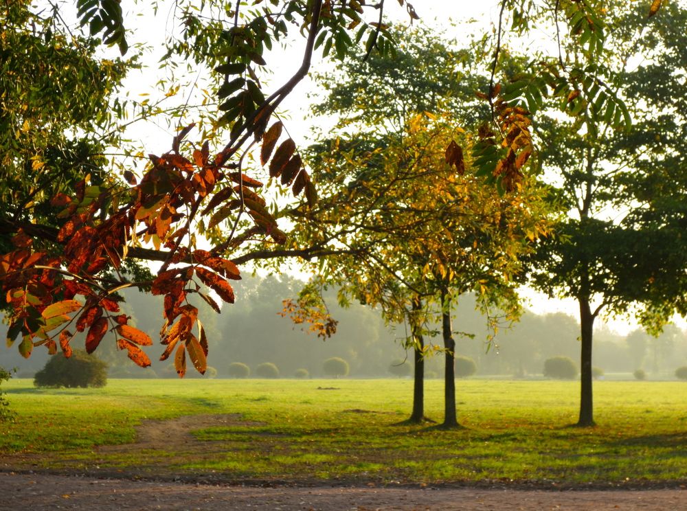 Photograph by Елена Жукова