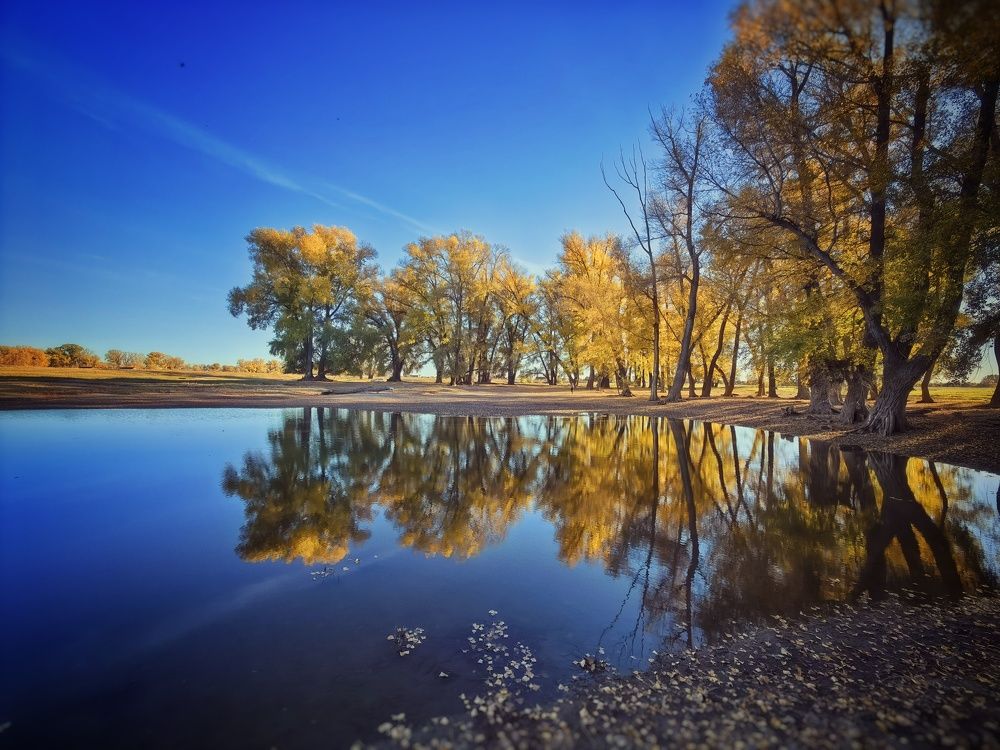 Photograph by Сергей Зайцев