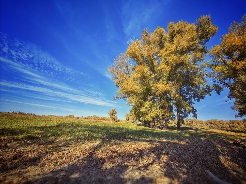 Photograph by Сергей Зайцев