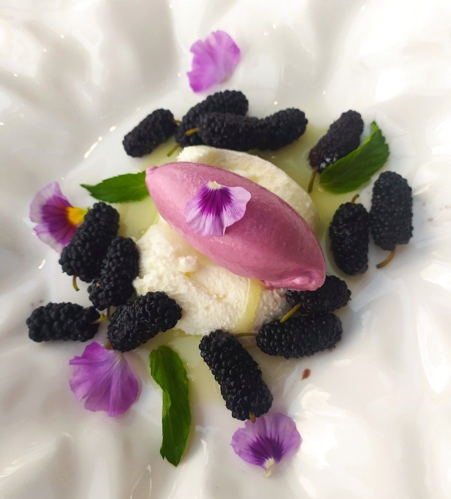 Фотография автора Елена Александрова