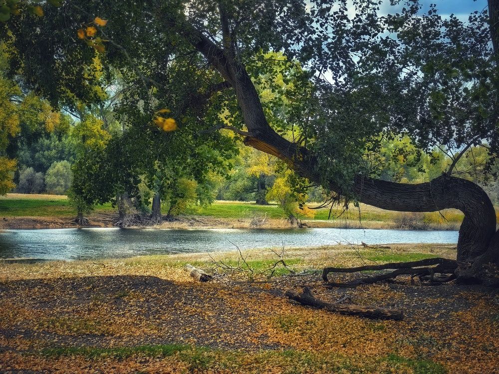 Photograph by Сергей Зайцев