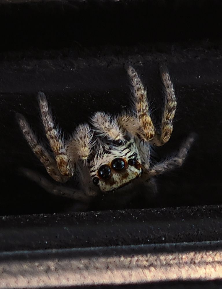 Photograph by Анна Курлова