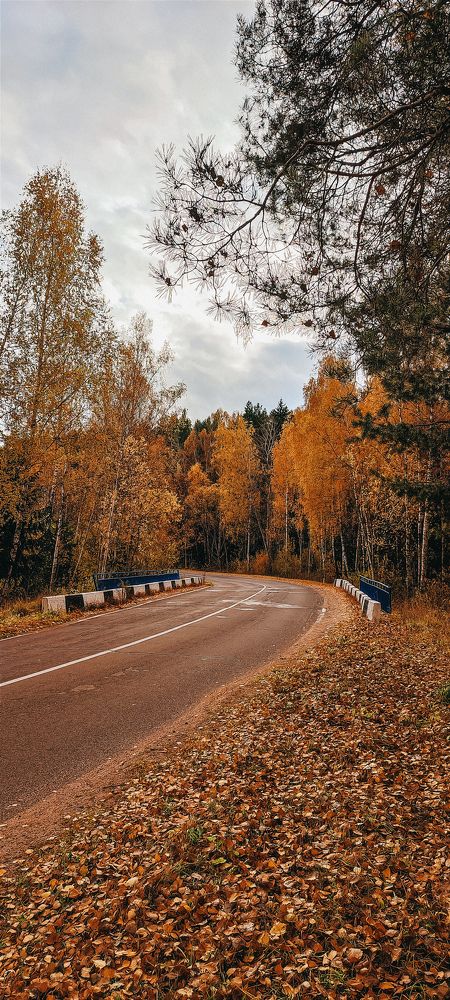 Photograph by Maria Stankevich