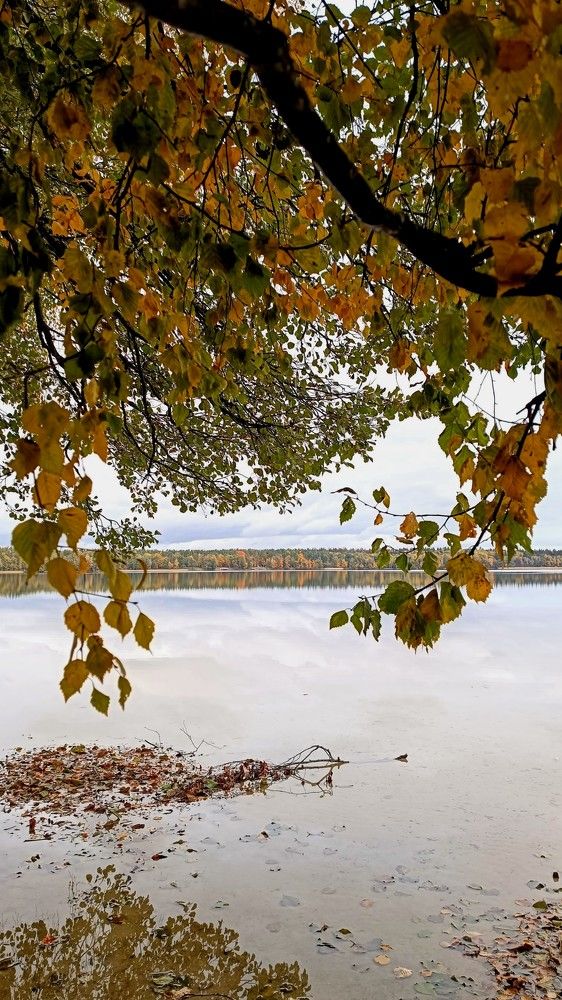 Photograph by Татьяна Яцкевич