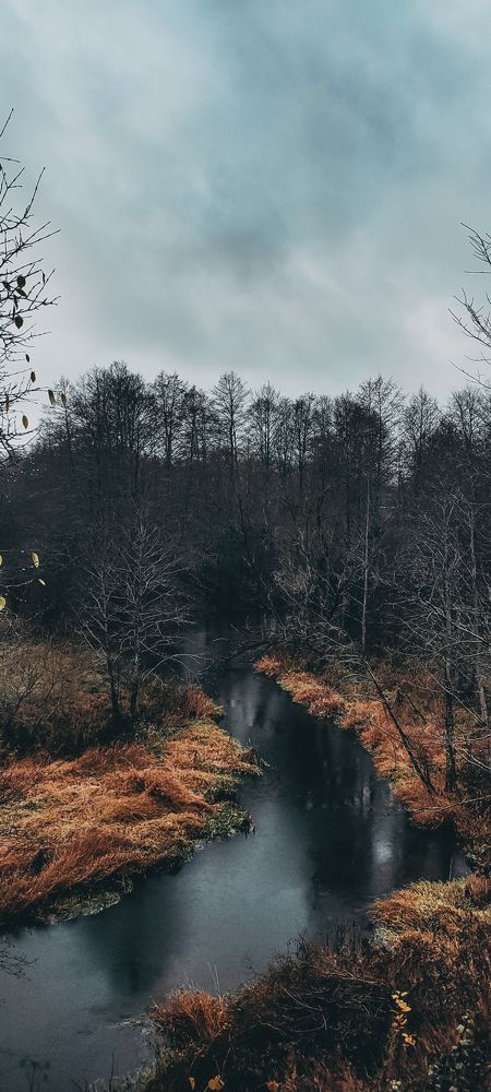 Photograph by Maria Stankevich