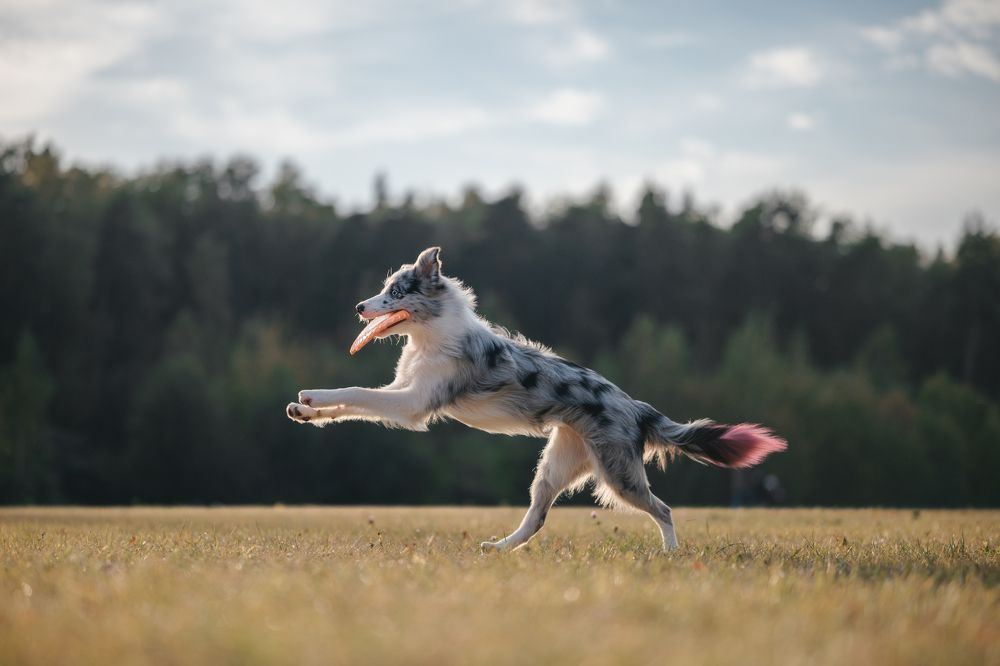 Photograph by Анастасия Жучкова