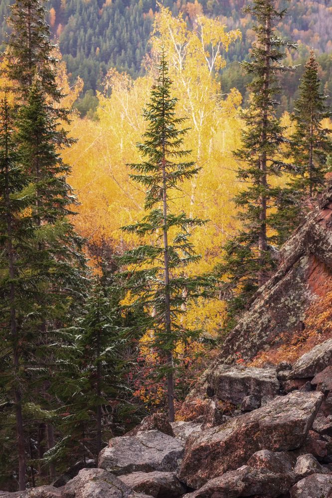 Photograph by Светлана Андреева