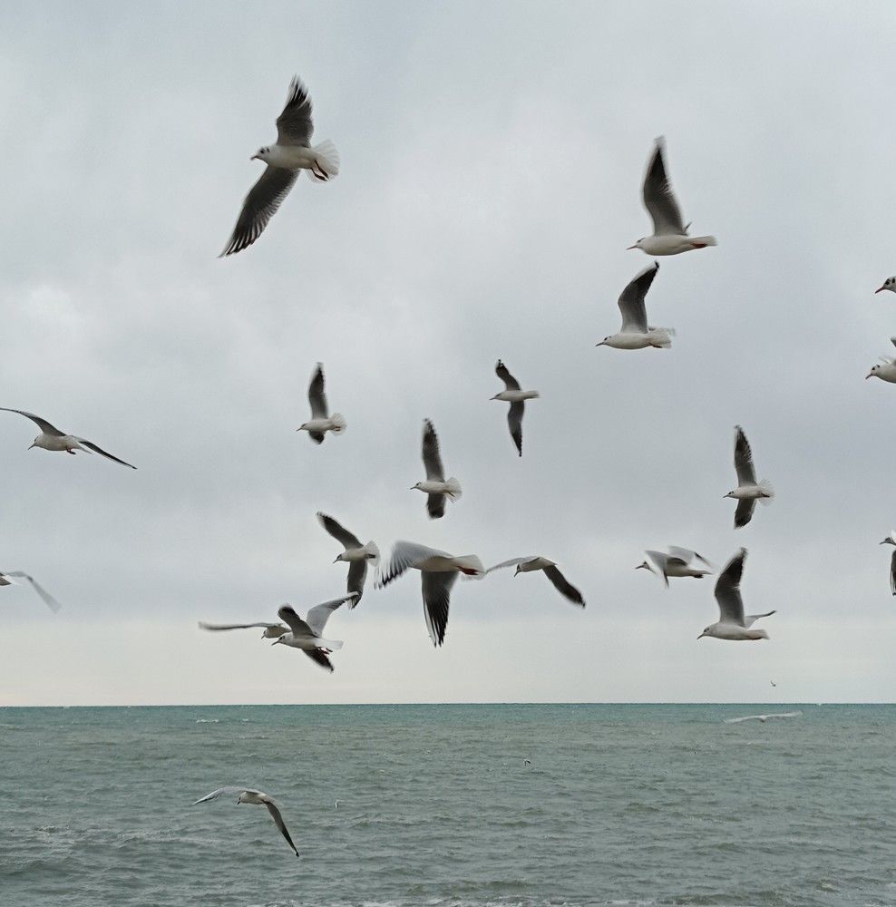 Фотография автора Елена Александрова