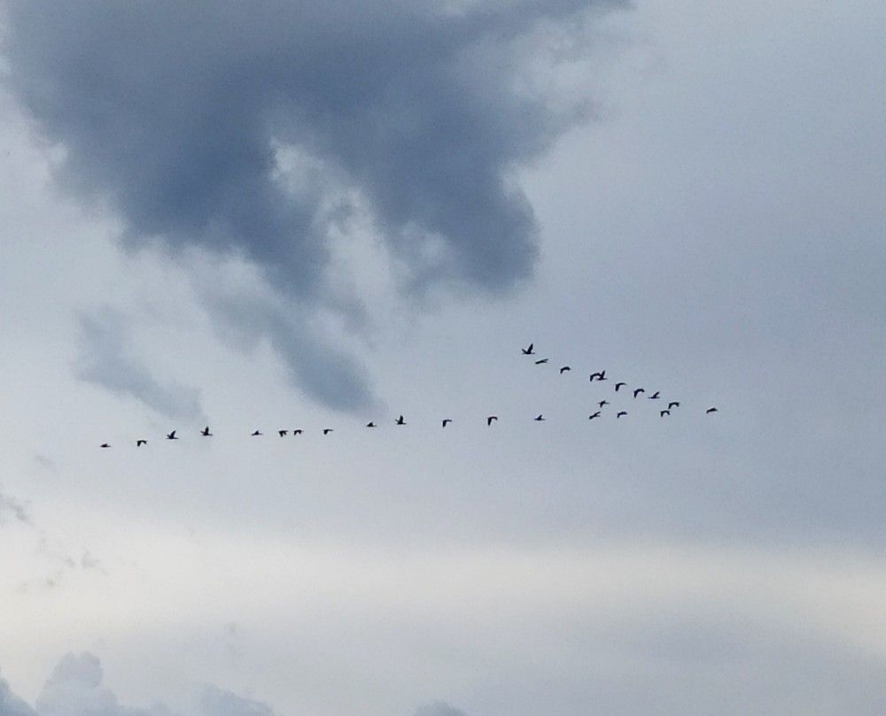 Фотография автора Елена Александрова