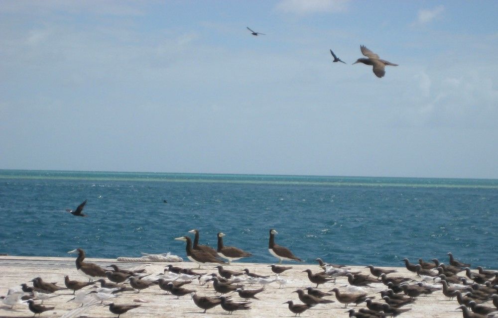 Фотография автора Елена Александрова