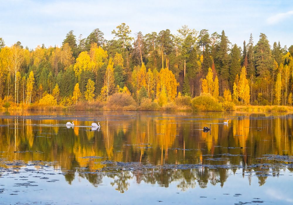 Фотография автора Рыболов Андрей
