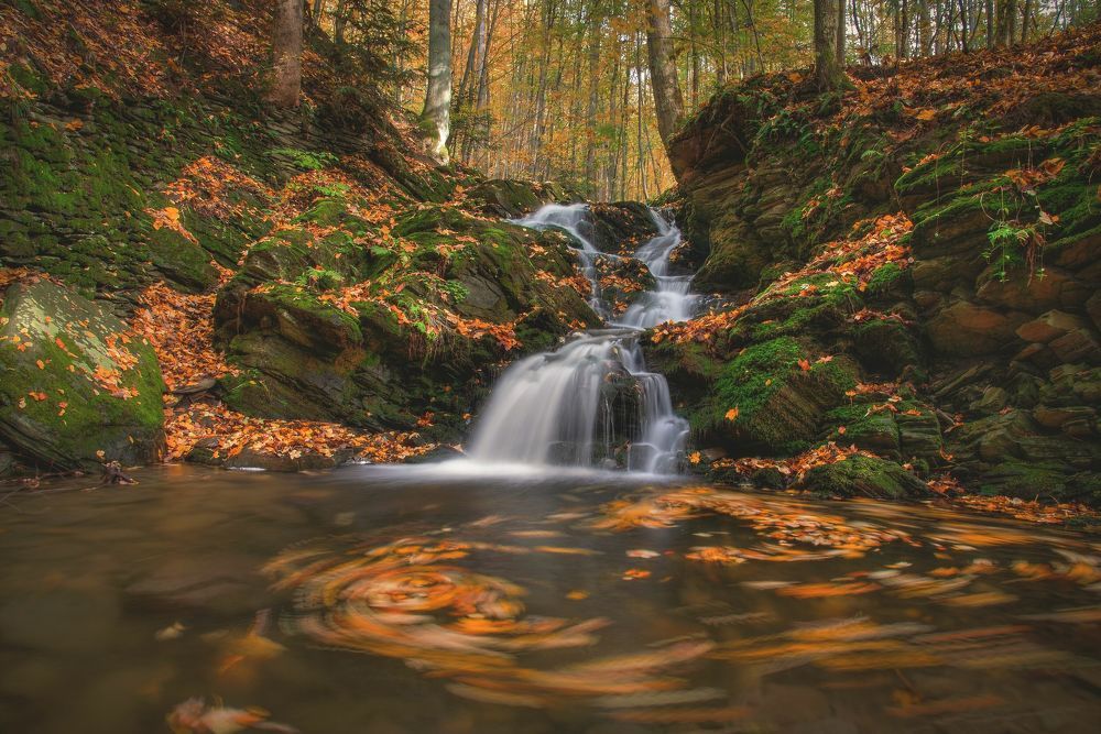 Photograph by Petra Navrátilová