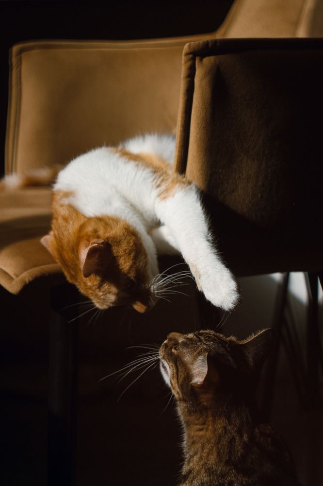 Photograph by Александра Стригунова
