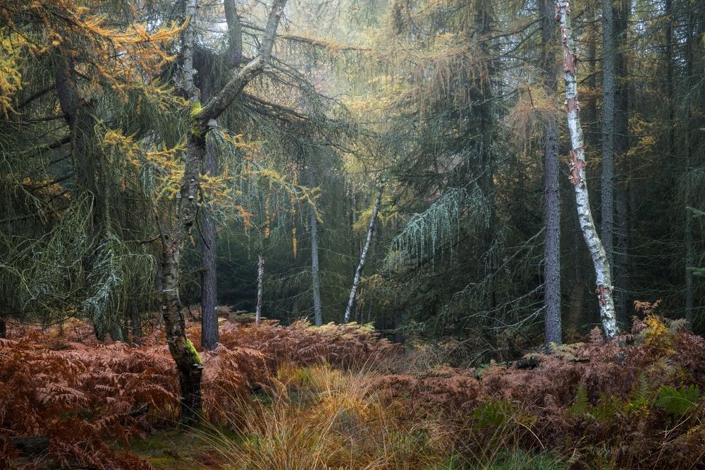 Photograph by Jiří Hakauf