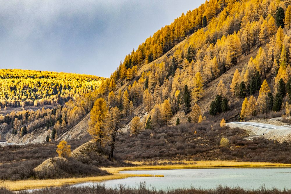 Краски осени Алтая