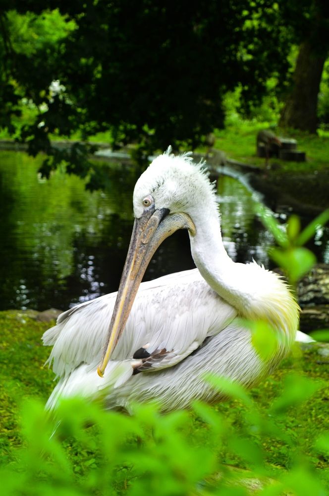 Photograph by Алёна Митькина