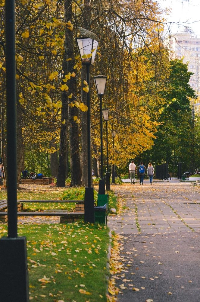 Photograph by Алёна Митькина