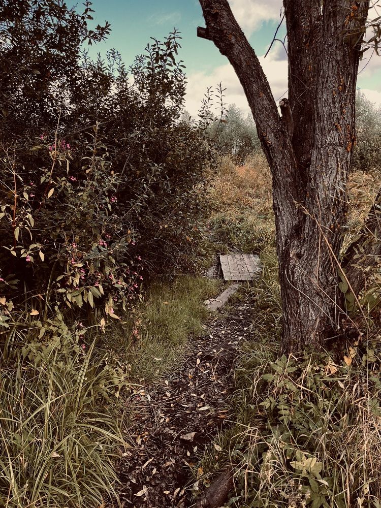 Photograph by Светлана Родионова