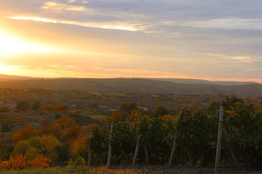 Осень в Молдове