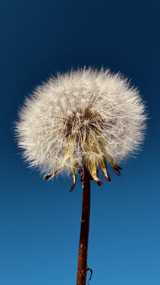 Photograph by Светлана Родионова