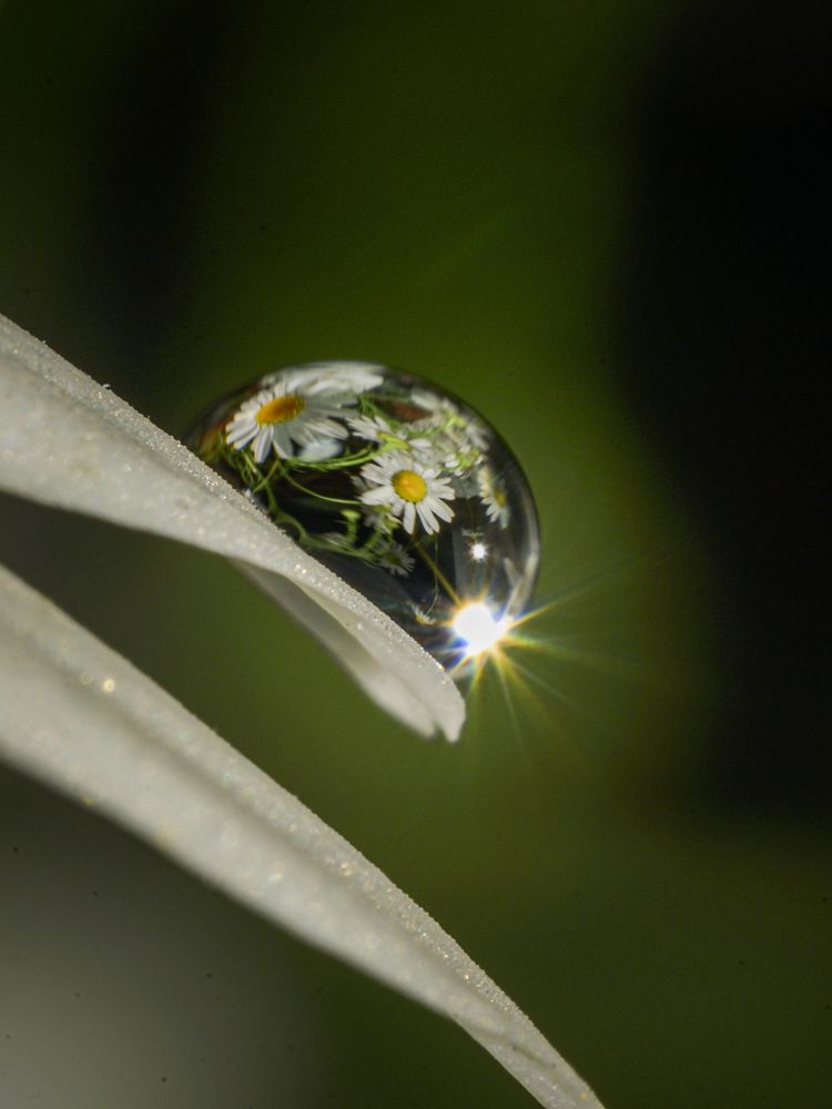 Photograph by Сергей Анатольевич