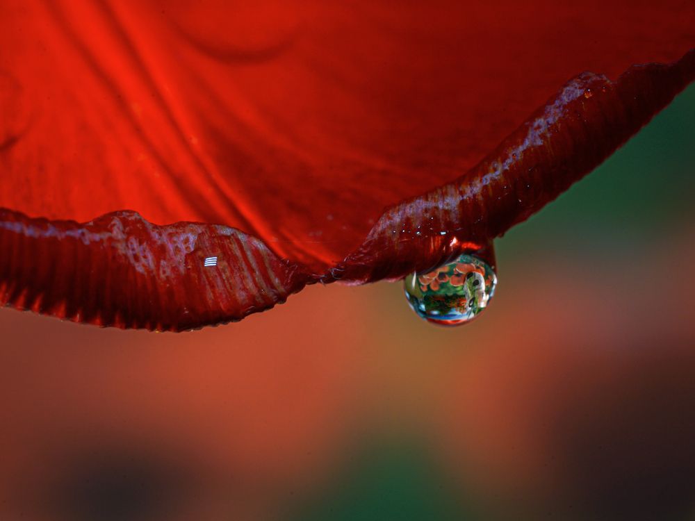 Photograph by Сергей Анатольевич