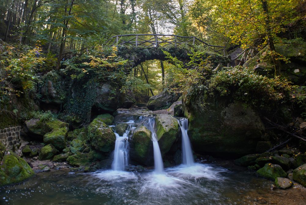 Фотография автора Ekaterina Palant