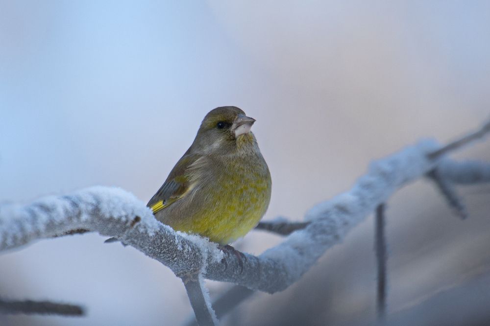 Photograph by Andrey Kul