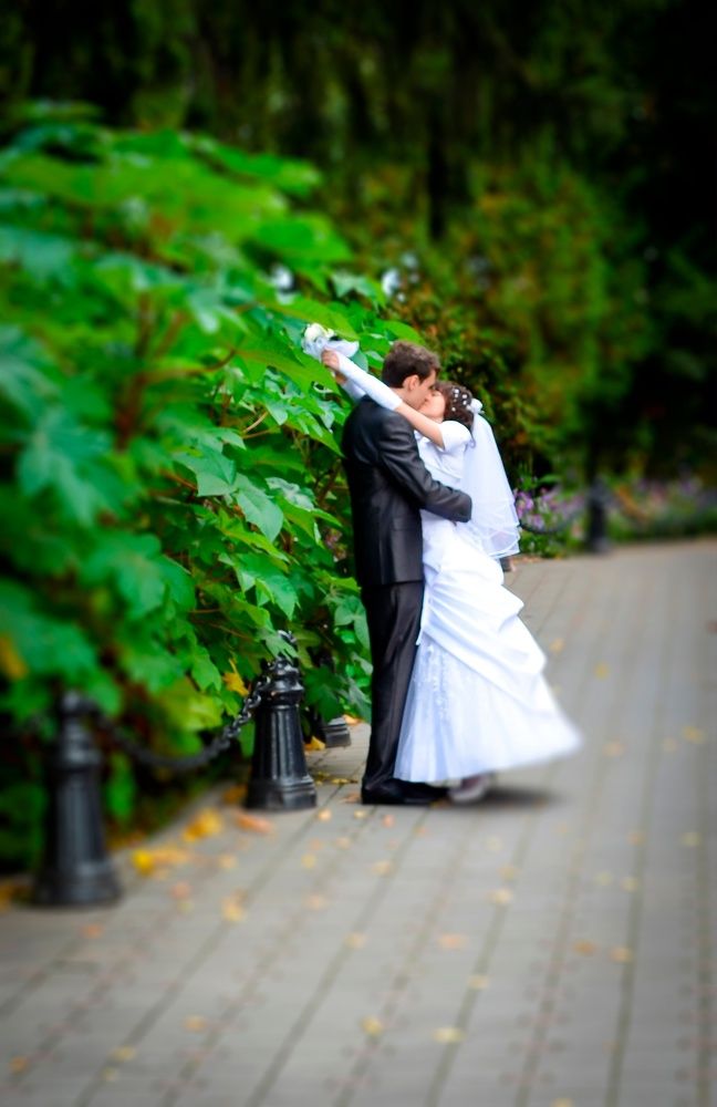 Photograph by Mishel Photographer