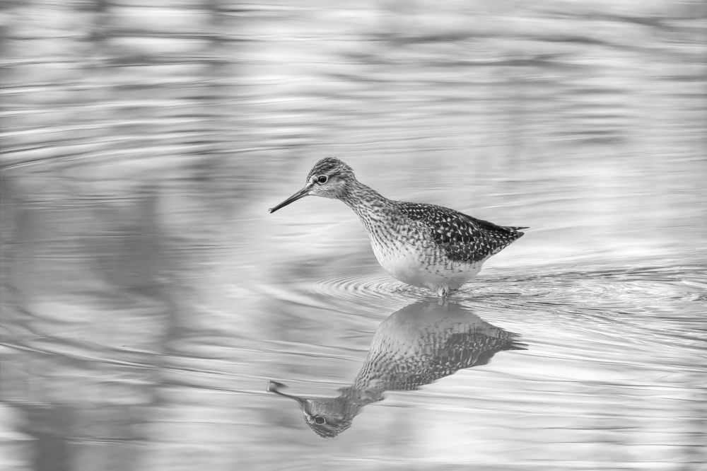 Photograph by Petra Navrátilová