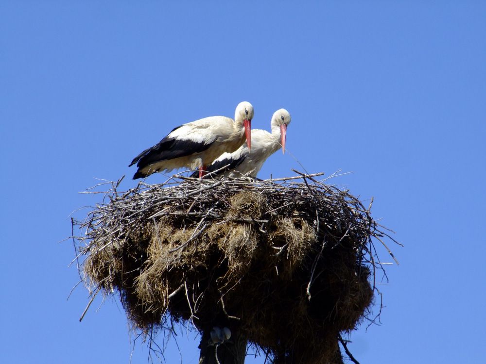 Photograph by Cengiz Yalcin